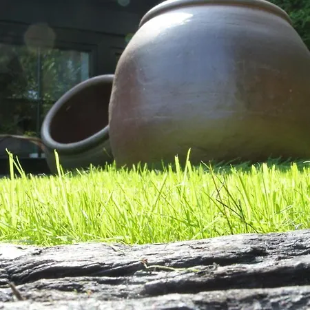 מלון Am Oppspring